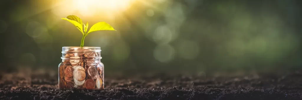 A seedling growing out of a glass jug with pennies in it. There is soil on the ground.